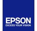 Epson Bl&auml;ckpatroner